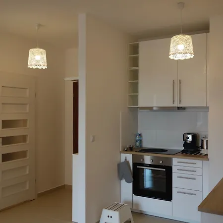 1 Bedroom Francuska Park דירה קטוביץ