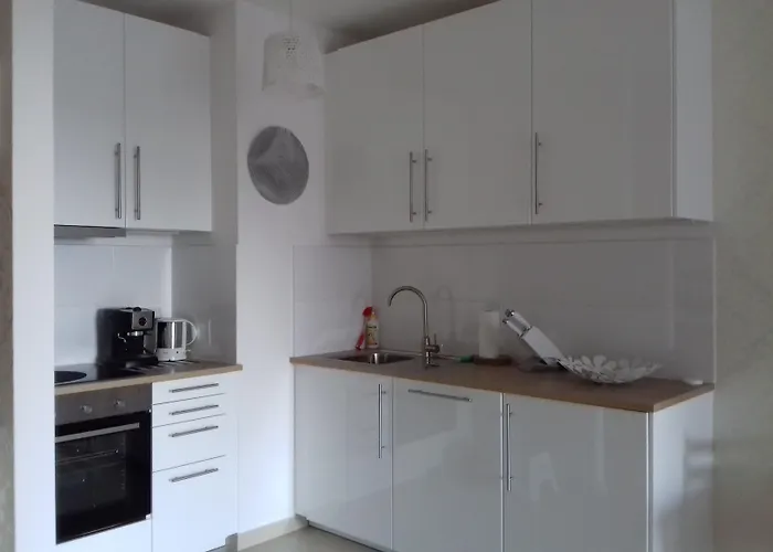 1 Bedroom Francuska Park דירה *