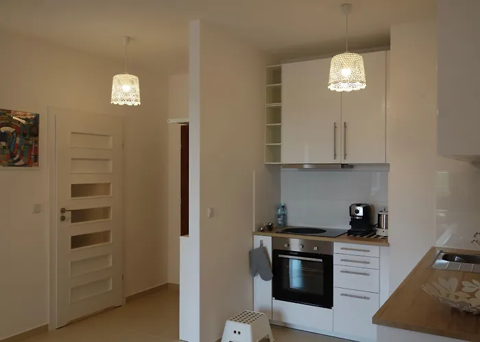 1 Bedroom Francuska Park Daire Katoviçe