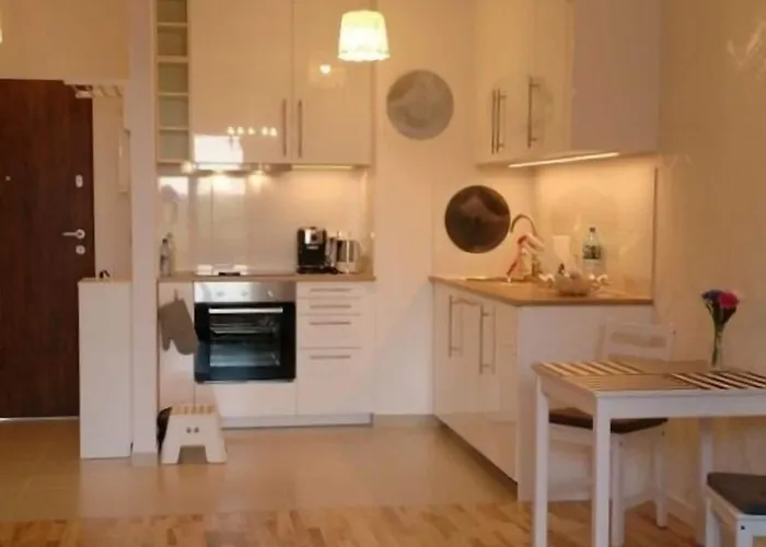 1 Bedroom Francuska Park Daire *