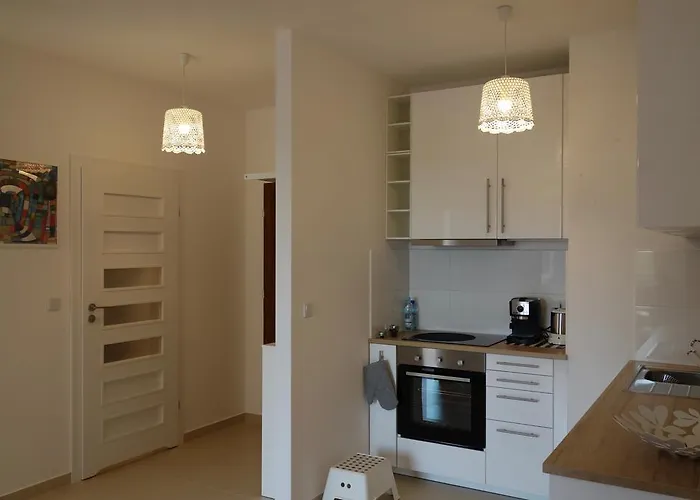 Daire 1 Bedroom Francuska Park